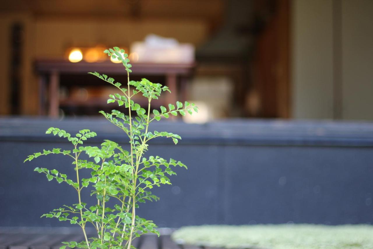 晴家 Guest House Fujikawaguchiko Dış mekan fotoğraf