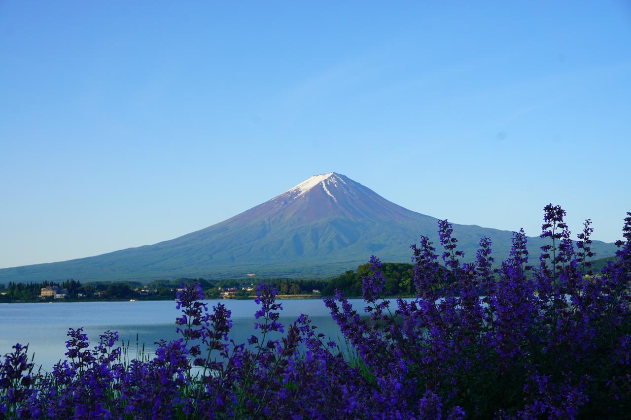 晴家 Guest House Fujikawaguchiko Dış mekan fotoğraf