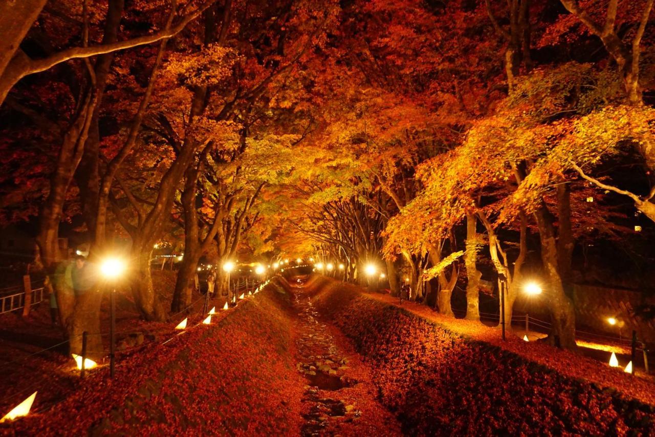 晴家 Guest House Fujikawaguchiko Dış mekan fotoğraf